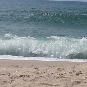 Meet your Posher, Laurie